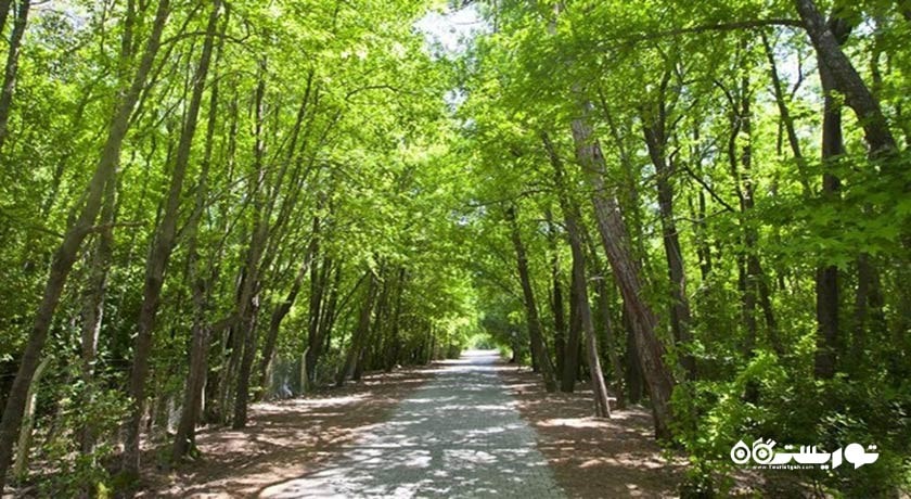 سرگرمی پارک ملی گونوجک شهر ترکیه کشور مارماریس