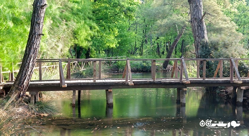 پارک ملی گونوجک -  شهر مارماریس