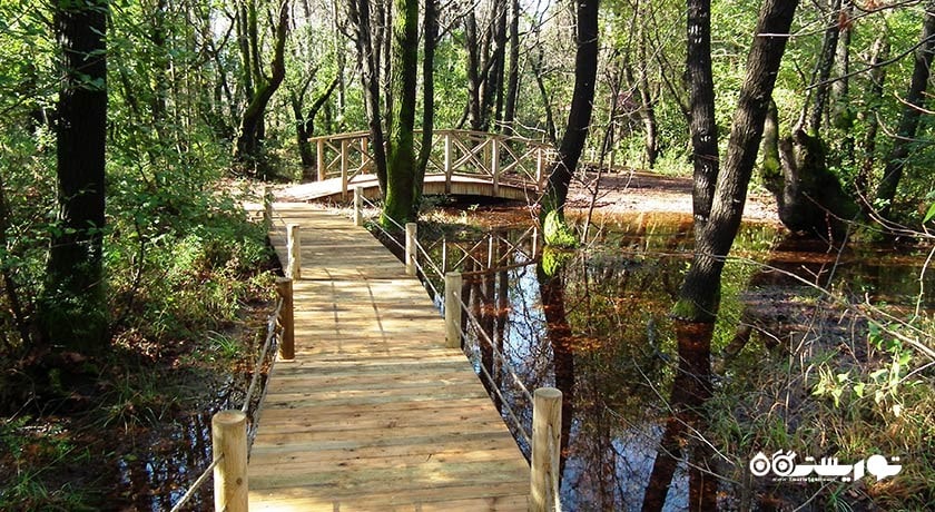 سرگرمی پارک ملی گونوجک شهر ترکیه کشور مارماریس