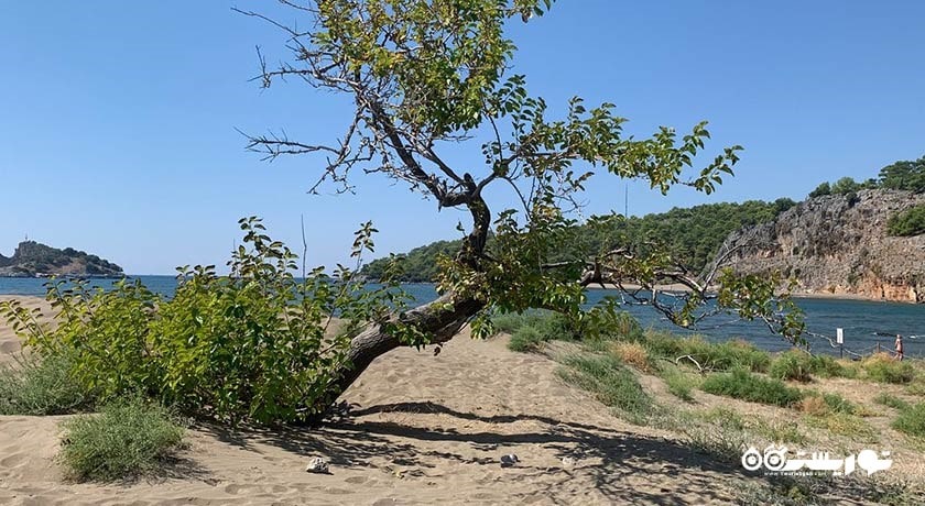 سرگرمی ساحل ایزتوزو (ساحل لاکپشت) شهر ترکیه کشور مارماریس