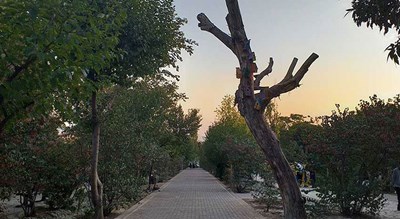  پارک پلیس شهر تهران استان تهران