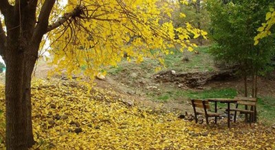  پارک جنگلی سرخه حصار شهر تهران استان تهران