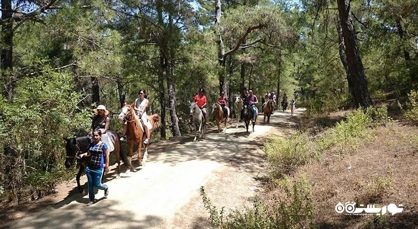 سرگرمی اسب سواری در آلانیا شهر ترکیه کشور آلانیا