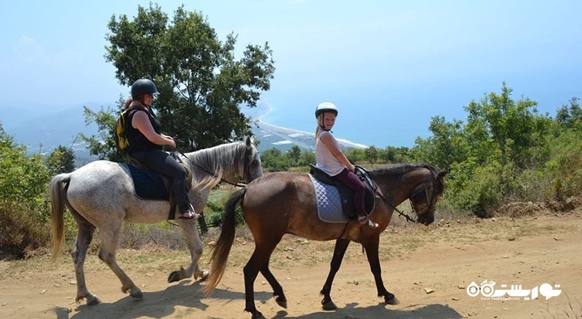 سرگرمی اسب سواری در آلانیا شهر ترکیه کشور آلانیا