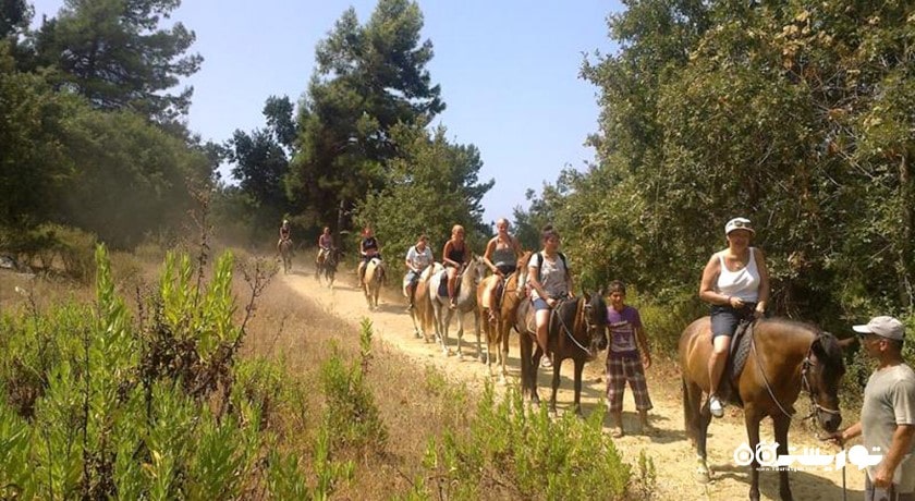 سرگرمی اسب سواری در آلانیا شهر ترکیه کشور آلانیا