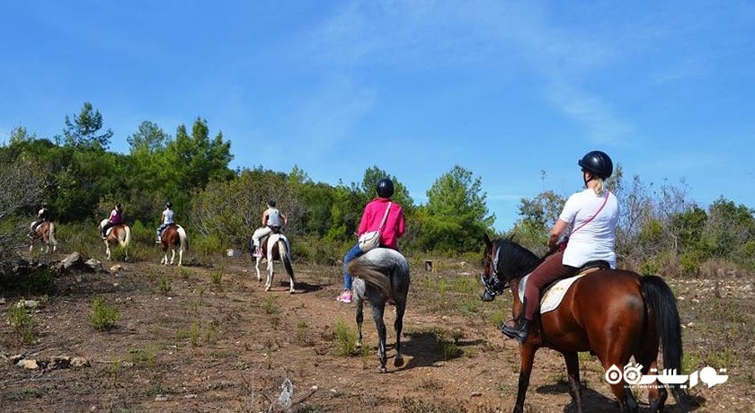 اسب سواری در آلانیا -  شهر آلانیا