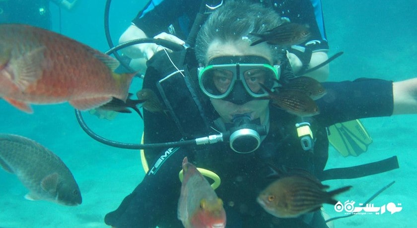 سرگرمی غواصی در آلانیا شهر ترکیه کشور آلانیا