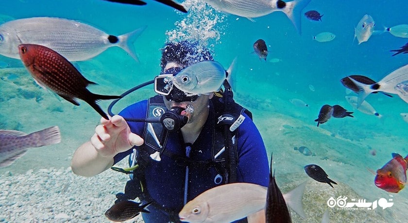 غواصی در آلانیا -  شهر آلانیا