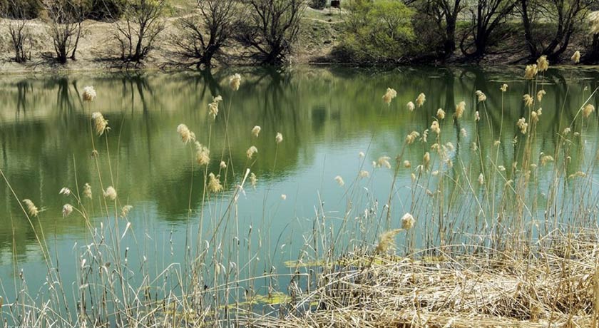  پارک جنگلی یاس فاطمی شهر تهران استان تهران
