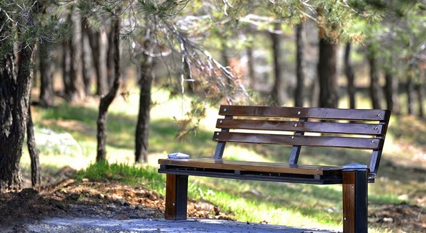  پارک جنگلی یاس فاطمی شهر تهران استان تهران