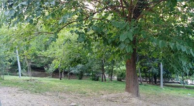پارک  طالقانی -  شهر تهران