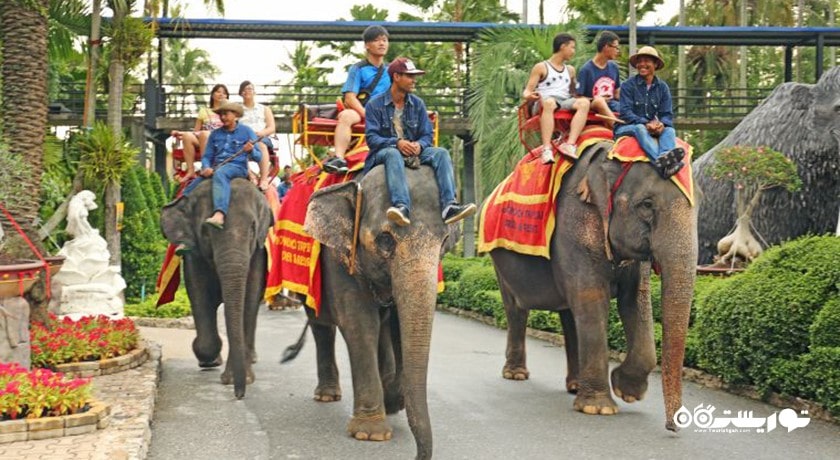 سرگرمی باغ گیاه شناسی گرمسیری نونگ نوچ شهر تایلند کشور پاتایا