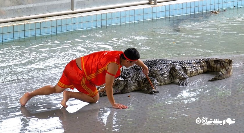 سرگرمی پارک سنگی چند میلیون ساله و مزرعه کروکدیل پاتایا شهر تایلند کشور پاتایا