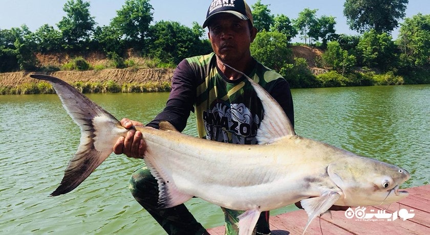 پارک ماهیگیری آمازون -  شهر پاتایا