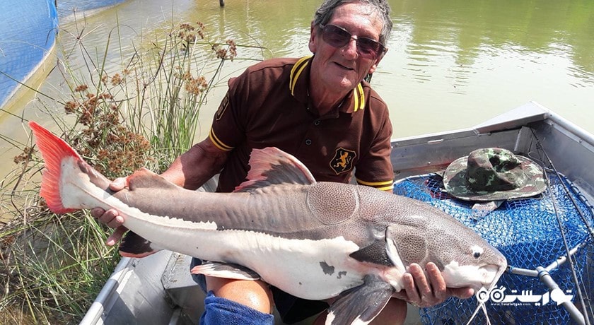 سرگرمی پارک ماهیگیری آمازون شهر تایلند کشور پاتایا