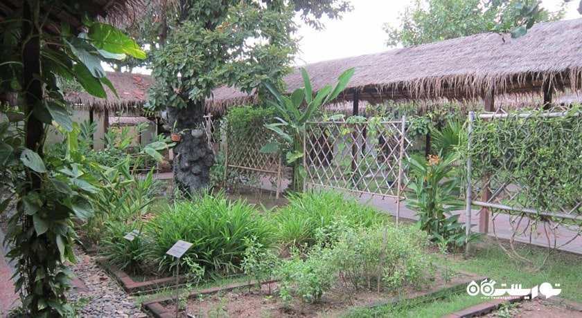 سرگرمی باغ گیاهان دارویی پاتایا شهر تایلند کشور پاتایا