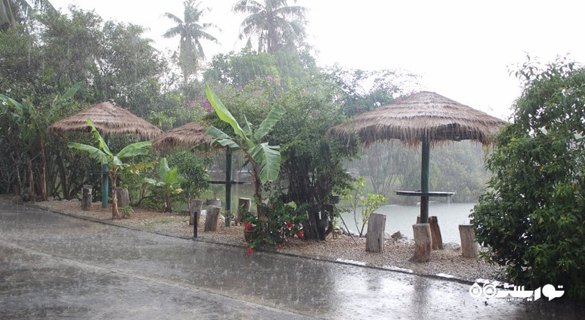 سرگرمی باغ گیاهان دارویی پاتایا شهر تایلند کشور پاتایا