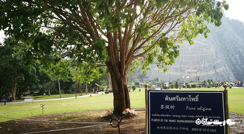 کوه بودا پاتایا (کائوچی چان) -  شهر پاتایا