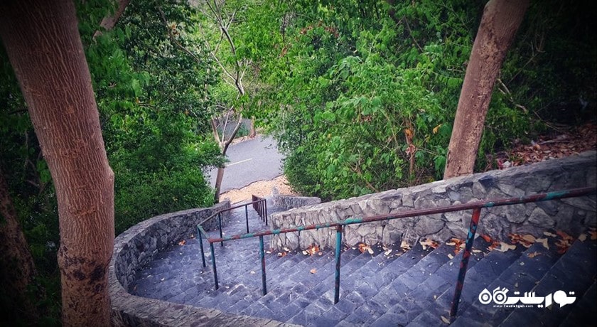 سرگرمی پاتایا ویو پوینت شهر تایلند کشور پاتایا