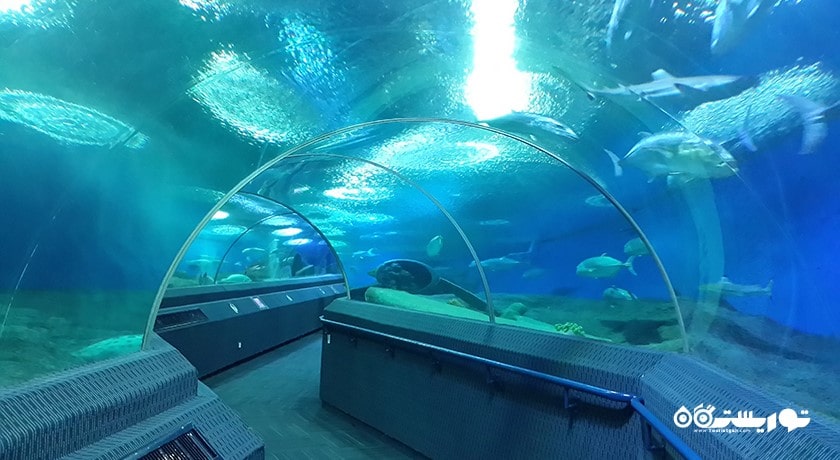 سرگرمی آکواریوم دنیای زیر آب پاتایا شهر تایلند کشور پاتایا