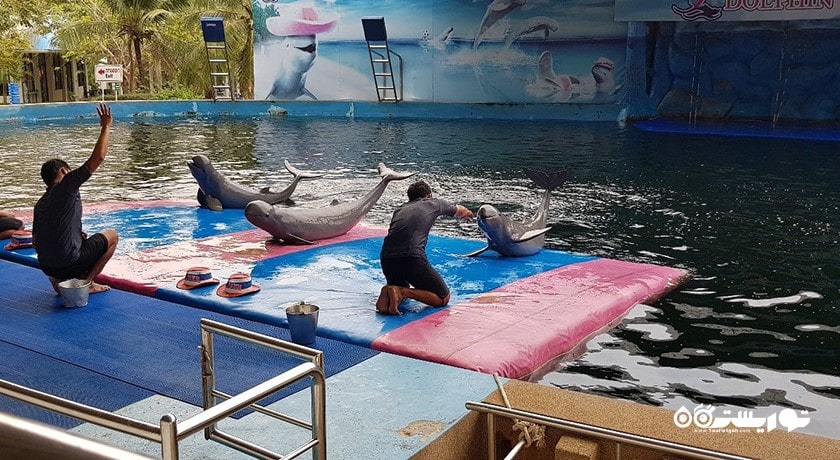 سرگرمی دنیای دلفین پاتایا شهر تایلند کشور پاتایا