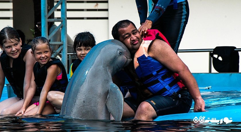 سرگرمی دنیای دلفین پاتایا شهر تایلند کشور پاتایا