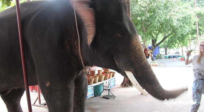 سرگرمی پارک چانگ سیام شهر تایلند کشور پاتایا