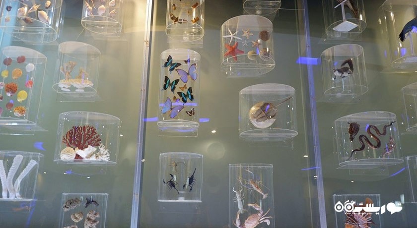  مو زه علوم و افلاک نمای بانکوک شهر تایلند کشور بانکوک