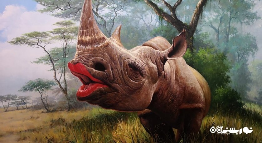  موزه آرت این پارادایز شهر تایلند کشور بانکوک