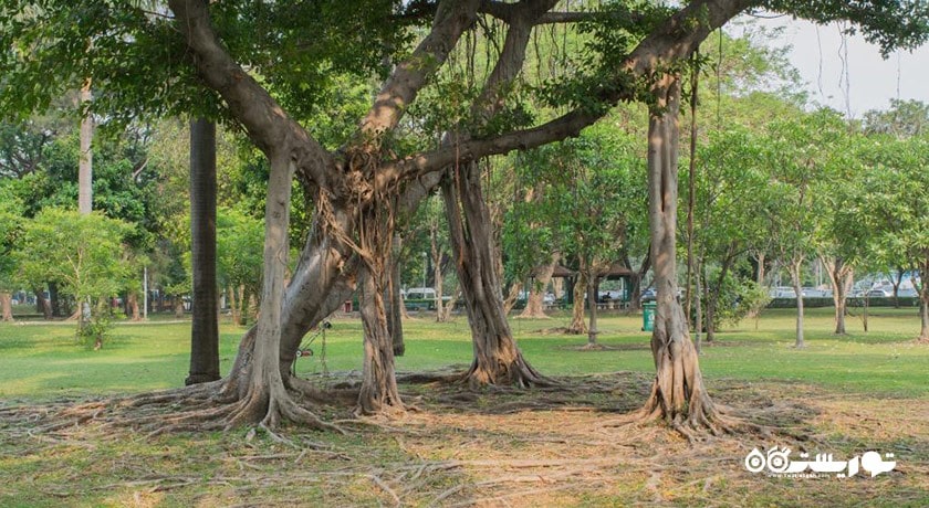 سرگرمی پارک راد فای شهر تایلند کشور بانکوک