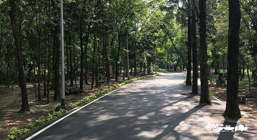 سرگرمی پارک راد فای شهر تایلند کشور بانکوک