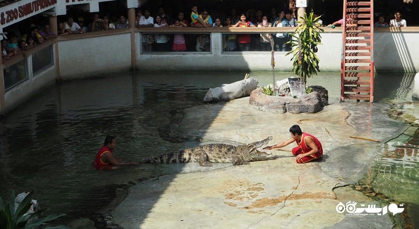 سرگرمی مزرعه کروکدیل ساموت پراکان شهر تایلند کشور بانکوک
