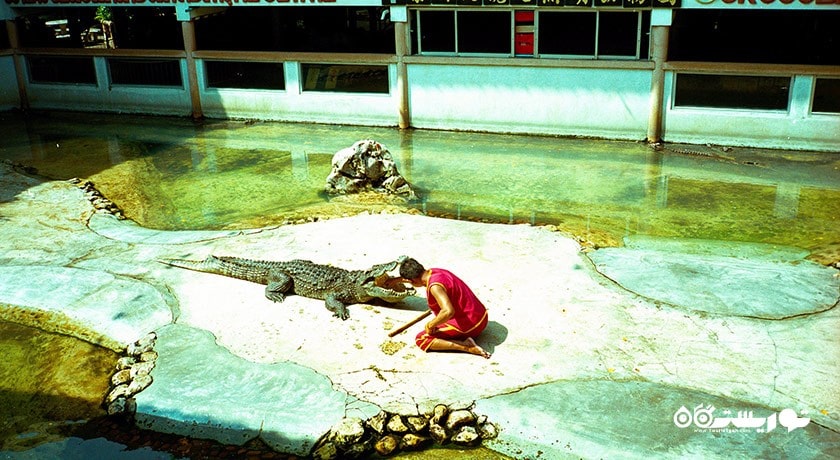 سرگرمی مزرعه کروکدیل ساموت پراکان شهر تایلند کشور بانکوک