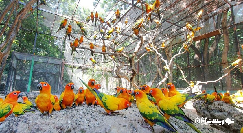 سرگرمی پارک و باغ وحش دنیای سافاری شهر تایلند کشور بانکوک