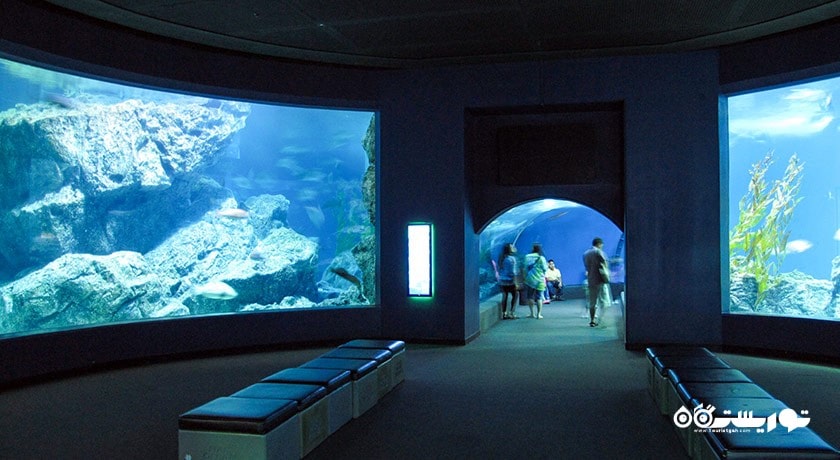 سرگرمی سی لایف بانکوک اوشن ورلد شهر تایلند کشور بانکوک