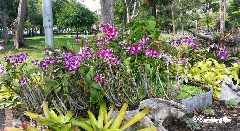 سرگرمی باغ سارانروم شهر تایلند کشور بانکوک