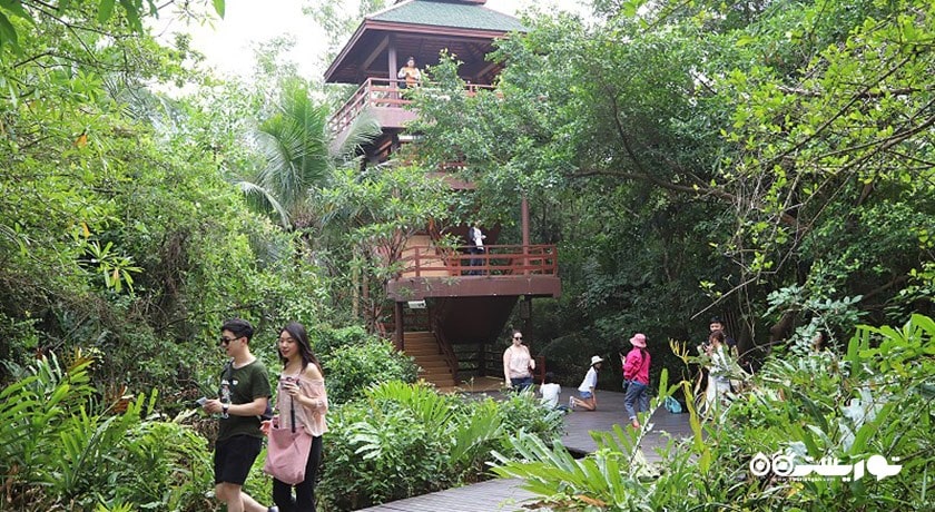 سرگرمی باغ گیاه شناسی و پارک سی ناکان کوین کان شهر تایلند کشور بانکوک
