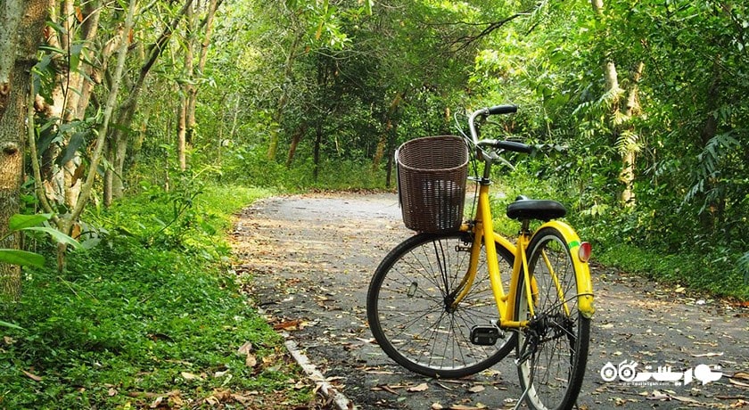 سرگرمی باغ گیاه شناسی و پارک سی ناکان کوین کان شهر تایلند کشور بانکوک