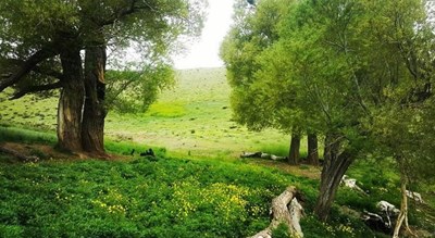  گلستان کوه خوانسار شهرستان اصفهان استان خوانسار