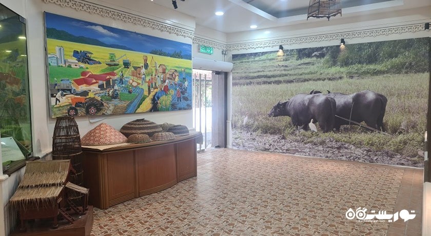  موزه باغ برنج لامان پدی شهر مالزی کشور لنکاوی