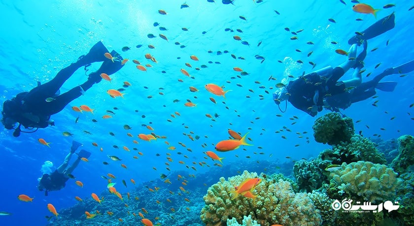 سرگرمی پارک دریایی پولائو پایار شهر مالزی کشور لنکاوی