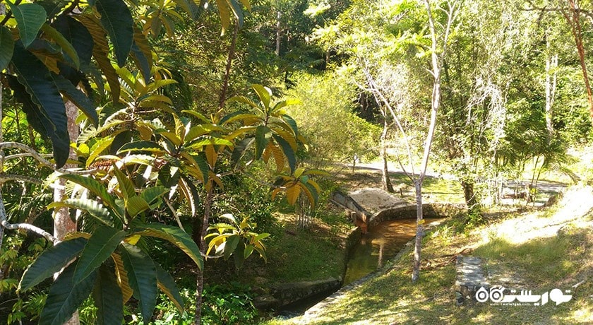 سرگرمی پارک تفریحی تلوک باهانگ شهر مالزی کشور پنانگ