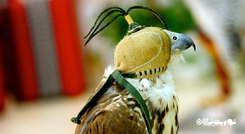 مرکز خرید بازار شاهین شهر قطر کشور دوحه