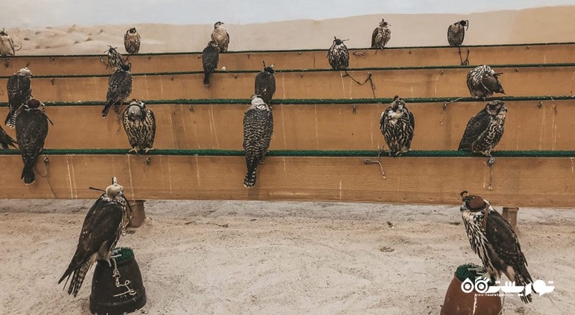 مرکز خرید بازار شاهین شهر قطر کشور دوحه