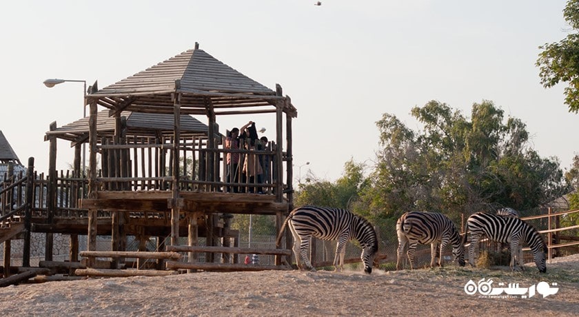 سرگرمی باغ وحش دوحه شهر قطر کشور دوحه