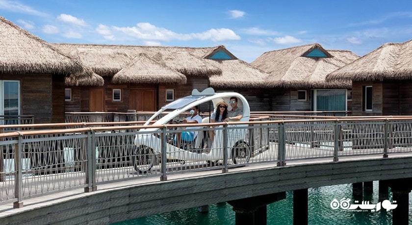 سرگرمی جزیره موز دوحه شهر قطر کشور دوحه