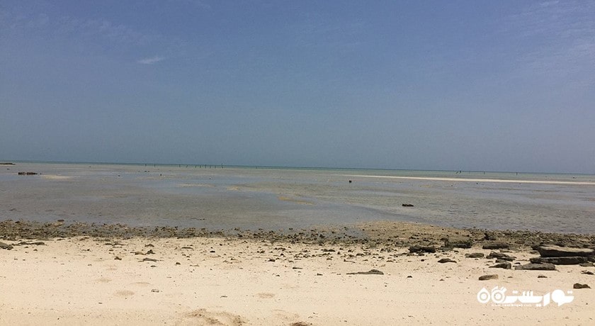سرگرمی ساحل فویرط شهر قطر کشور دوحه