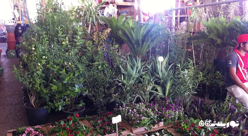 مرکز خرید سوق عمانی دوحه شهر قطر کشور دوحه