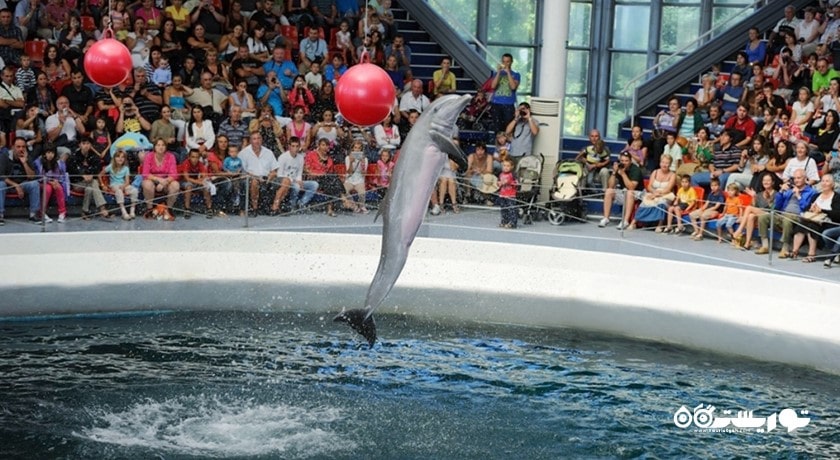 سرگرمی دلفیناریوم وارنا شهر بلغارستان کشور وارنا