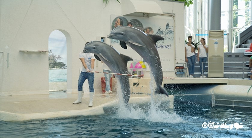 سرگرمی دلفیناریوم وارنا شهر بلغارستان کشور وارنا